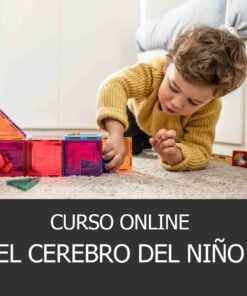 Curso El cerebro del niño