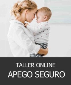 Taller Apego Seguro